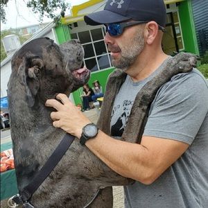 Meet your Posher, Russell